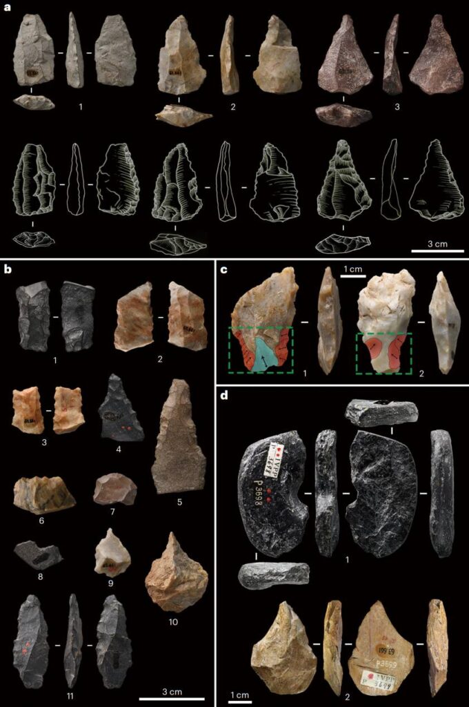 Находки со стоянки Шиюй / © Shi-Xia Yang et al.