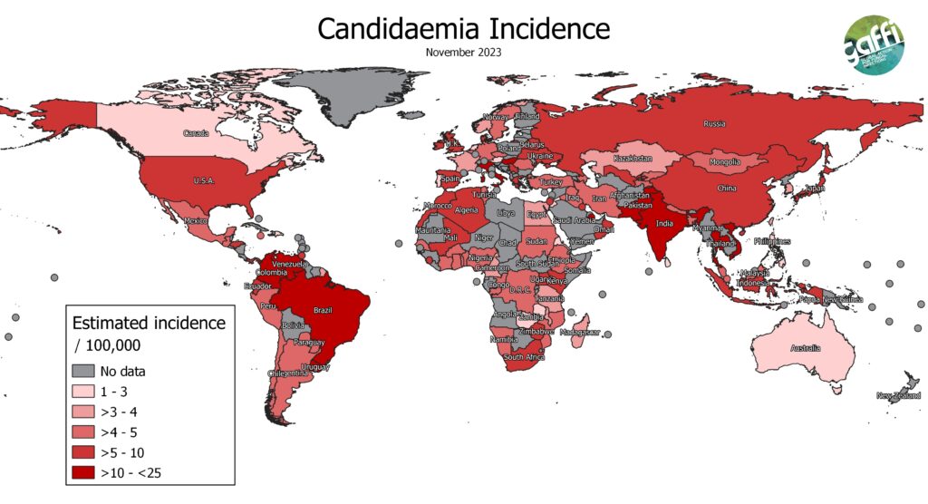 Масштабы заболеваемости, связанной с грибами Candida / © David W. Denning, University of Manchester