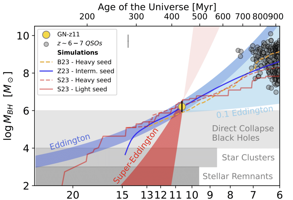 График массы черной дыры как функции красного смещения и возраста Вселенной. Объект в центре GN-z11 обозначен желтым кругом. На иллюстрации показано, как должна была развиваться масса этой дыры при разных сценариях: разных «зернах» и разных скоростях поглощения материи. Мелкими серыми кругами обозначены другие черные дыры, обрнаруженные в более взрослой Вселенной / © Roberto Maiolino et al, Nature (2024)