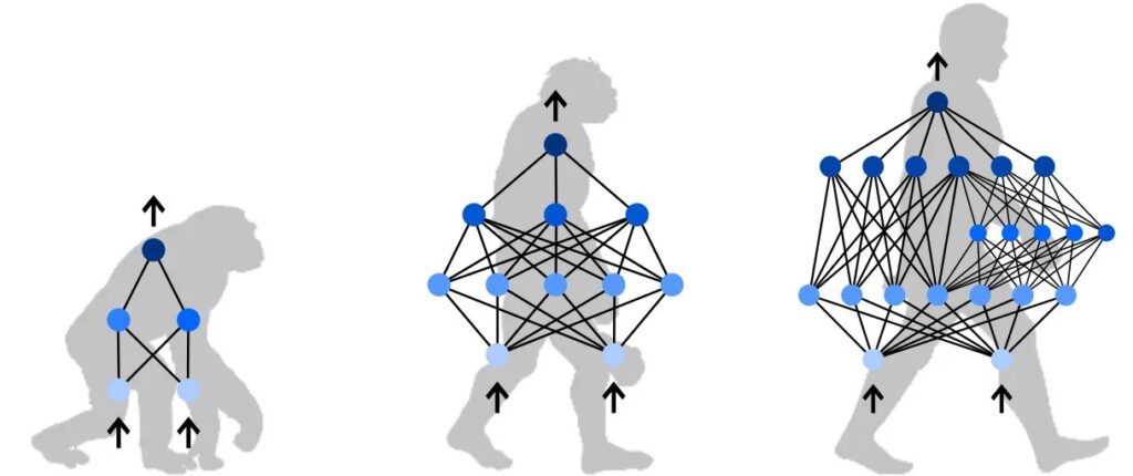 Основы фундаментальных концепций нейроэволюции  / © Towards Data Science 