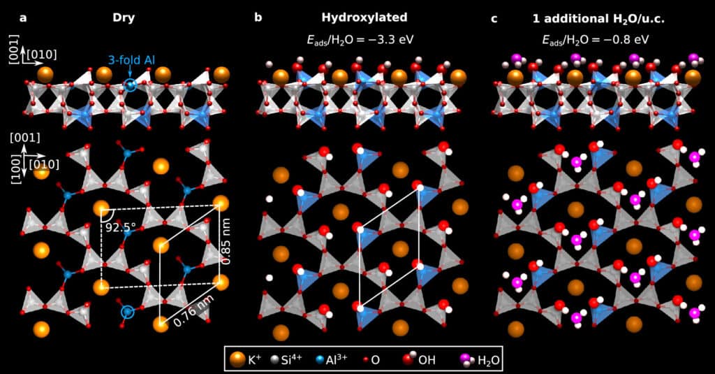 Молекулярные модели поверхности микролина в сухом и гидроксилированном состояниях, а также с дополнительными молекулами воды / © Giada Franceschi et al.