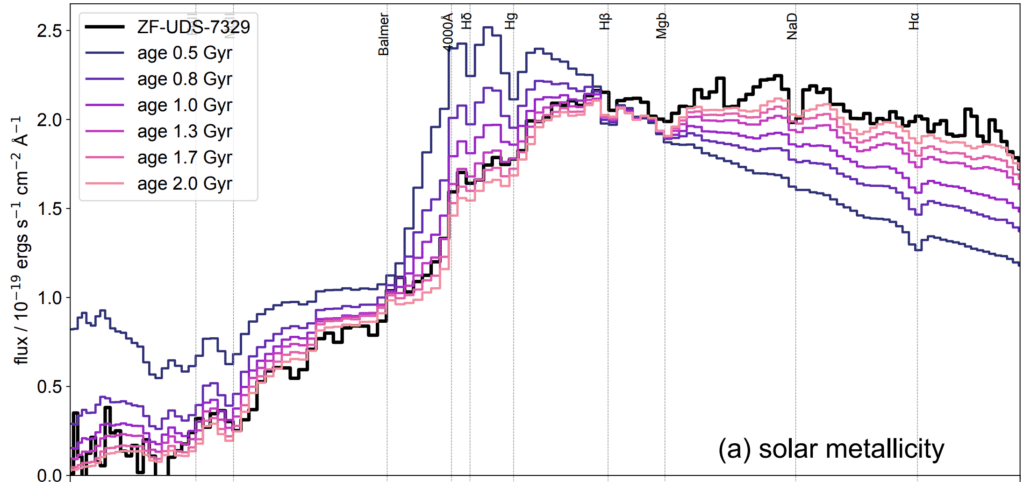 Графики спектров галактик при разном возрасте звезд. Черная линия иллюстрирует спектр галактики JWST-7329. Оттенками от фиолетогового к розовому нарисованы спектры галактик со звездами возрастом от 0,5 миллиарда до двух миллиардов лет. Видно, что JWST-7329 хорошо совпадает с линией типичной галактики со звездами возрастом примерно 1,7 миллиарда лет / © Glazebrook et al. Nature (2024)