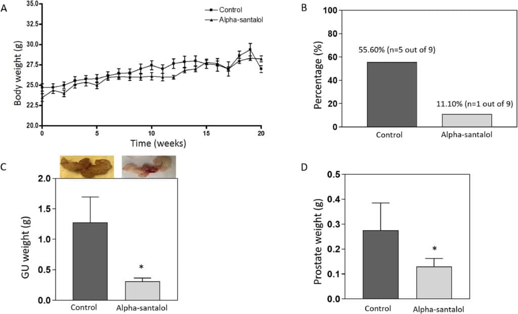 Воздействие альфа-санталола на массу тела, частоту возникновения видимых опухолей, вес урогенитального тракта и простаты подопытных мышей / © Ajay Bommareddy et al.