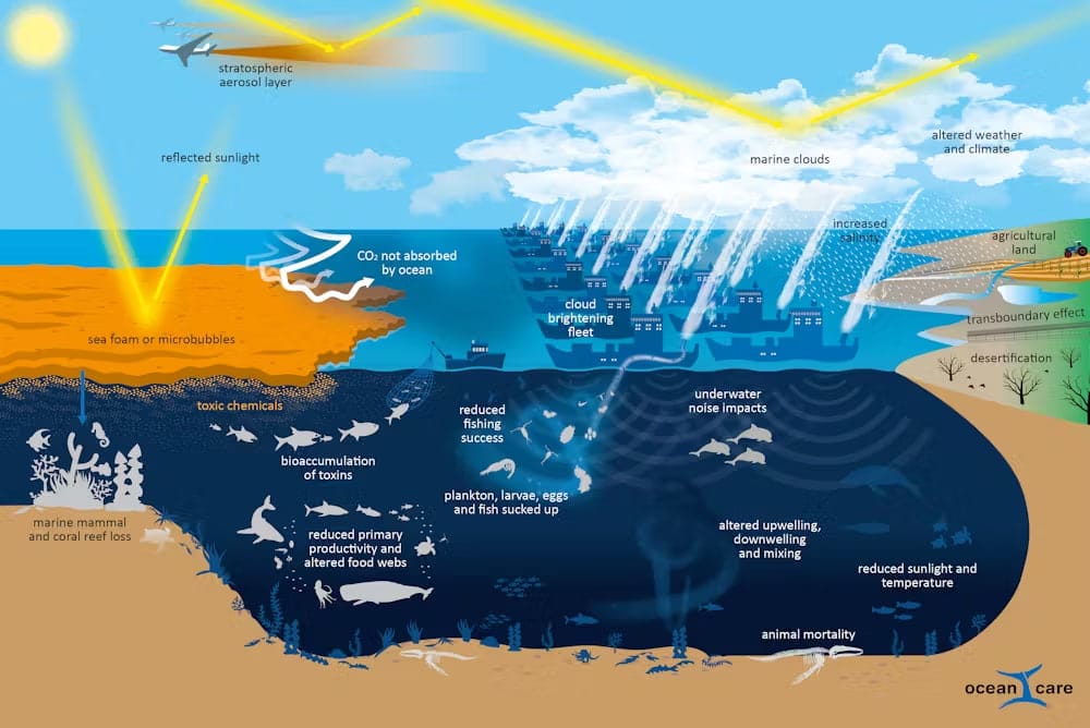 Подписи инфографики, описывающей последствия подобных проектов: слой аэрозоля в стратосфере, отраженный солнечный свет, морские облака, климатические и погодные изменения, углекислота, не поглощенная океаном, засоление, сельскохозяйственные угодья, пена или микропузырьки на морской поверхности, флот для осветления облаков, трансграничный эффект, опустынивание, ядовитые химикаты, уменьшение вылова рыбы, подводное шумовое загрязнение, накопление токсинов в организмах, засасывание планктона, личинок, икры и рыбы, гибель морских млекопитающих и коралловых рифов, снижение плодовитости и нарушение пищевых цепочек, нарушение циркуляции и перемешивания воды, уменьшение количества солнечного света и понижение температуры, гибель животных / © Джеймс Керри, Аарти Гупта, Терри Хьюз