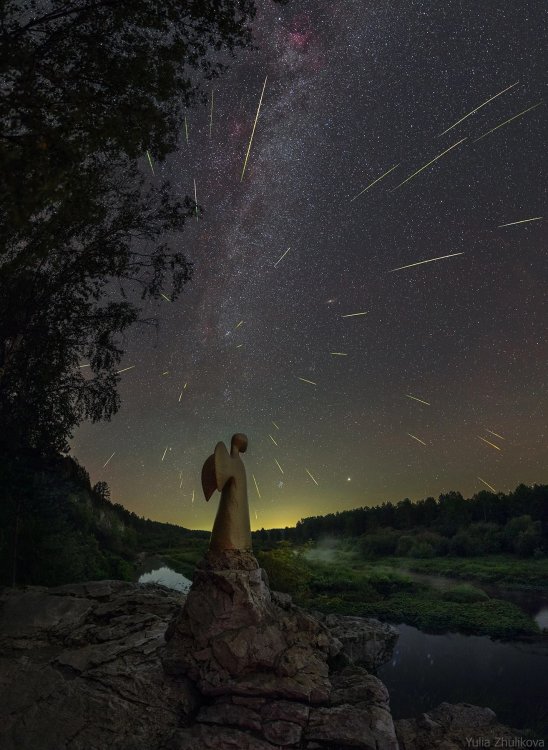 Метеорный поток Персеиды.Фото: Юлия Жуликова / «AstroAlert | Наблюдательная астрономия» (группа «ВКонтакте»)