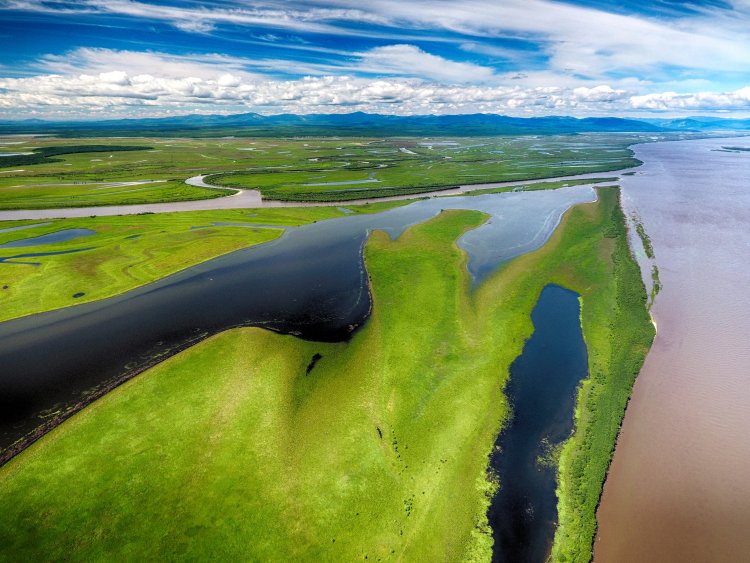 Река Амур в нижнем течении.Фото: Андрей Остроухов / ИВЭП ДВО РАН