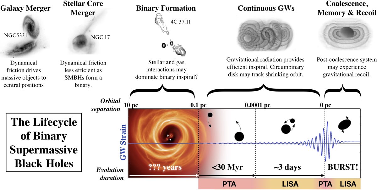 Слияние двух сверхмассивных черных дыр. На третьем этапе, этапе формирования двойной в качестве примера приведена как раз пара в центре 0402 + 379 / © Burke-Spolaor et al. The Astronomy and Astrophysics Review (2019)