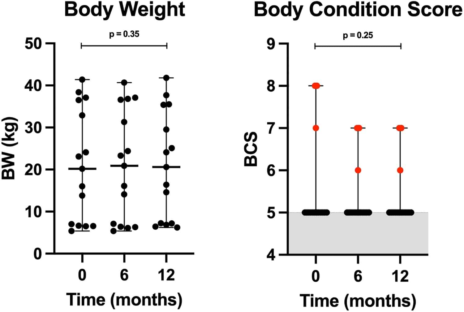 График распределения массы тела и балльных оценок упитанности (BCS) у собак в начале эксперимента и после 6 и 12 месяцев веганской диеты. Черные и красные точки отображают собак с нормальной и повышенной упитанностью. Заштрихованная серым область — нормальный уровень BCS / © 2024 Linde et al., PLoS ONE