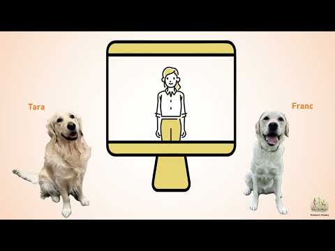 Dogs imitate actions demonstrated from an online meeting software - Video abstract