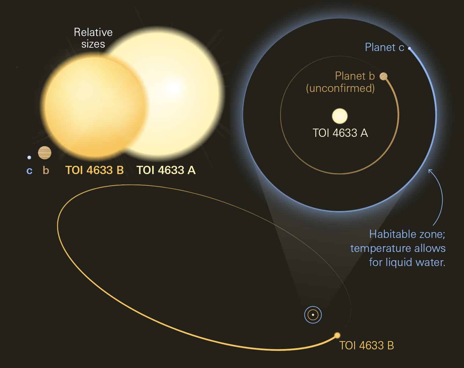 Вероятная структура системы TOI 4633 из двух звезд и двух планет. Мини-нептун и его орбита окрашены голубым / © Lucy Reading-Ikkanda/Simons Foundation