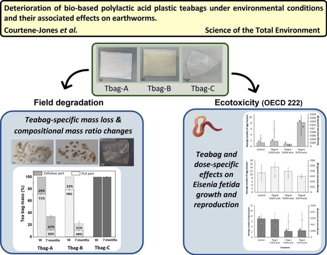 Результаты эксперимента (слева — закапывание чайных пакетиков в почву, справа — их соседство с компостными червями) / © W. Courtene-Jones et al., 2024, Science of The Total Environment 