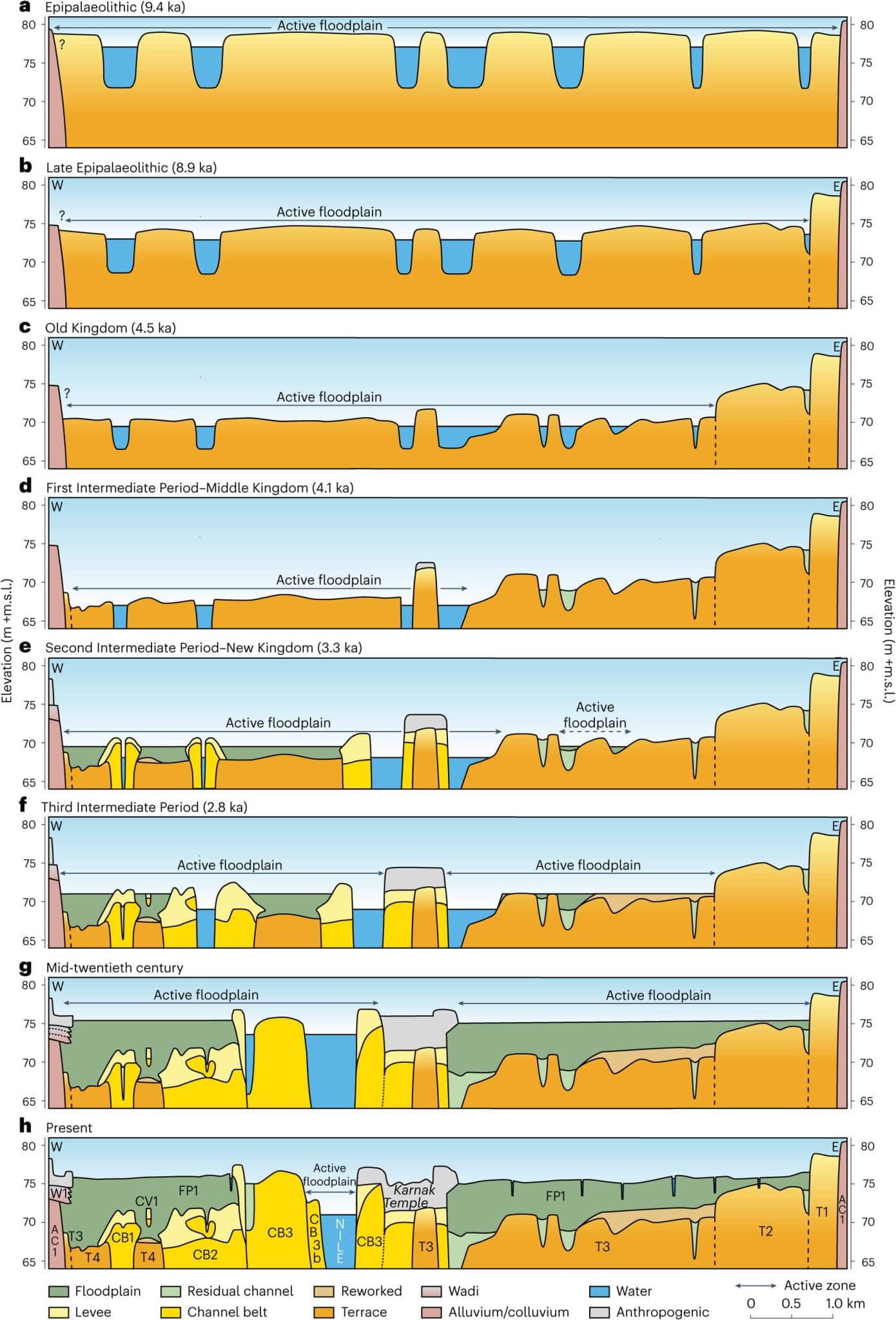 Схематическая реконструкция голоценовой эволюции реки Нил в районе Луксора, Египет. (a-d) В течение раннего и среднего голоцена. (e-g) Начиная с Нового царства. (h) До недавнего времени реке Нил удавалось постепенно наращивать и расширять свою пойму, в конечном итоге охватывая почти всю ее долину / © Nature Geoscience, Jan Peeters et al.