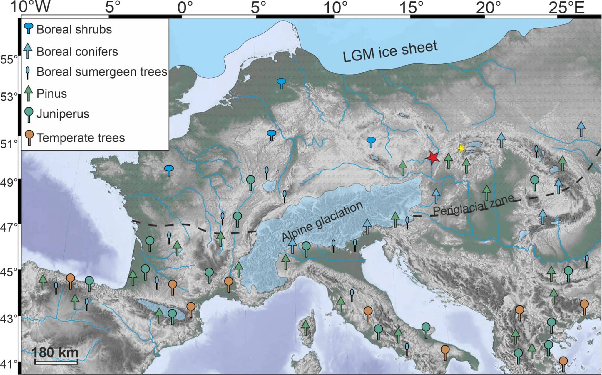 Европейская палеосреда в период максимума последнего оледенения (примерно 28-14,7 тысячи лет назад). Расположение недавно обнаруженных отложений в Моравии (красная звезда) и гидротермального поля в бассейне Липтова (желтая звезда), а также распределение ранее исследованных участков с находками макрофоссильных деревьев, датируемых поздним этапом оледенения. Также показаны максимальная протяженность ледников [синий] и южная граница зоны вечной мерзлоты (перигляциальной) [пунктирная линия] / © Science Advances, Jan Hošek et al.
