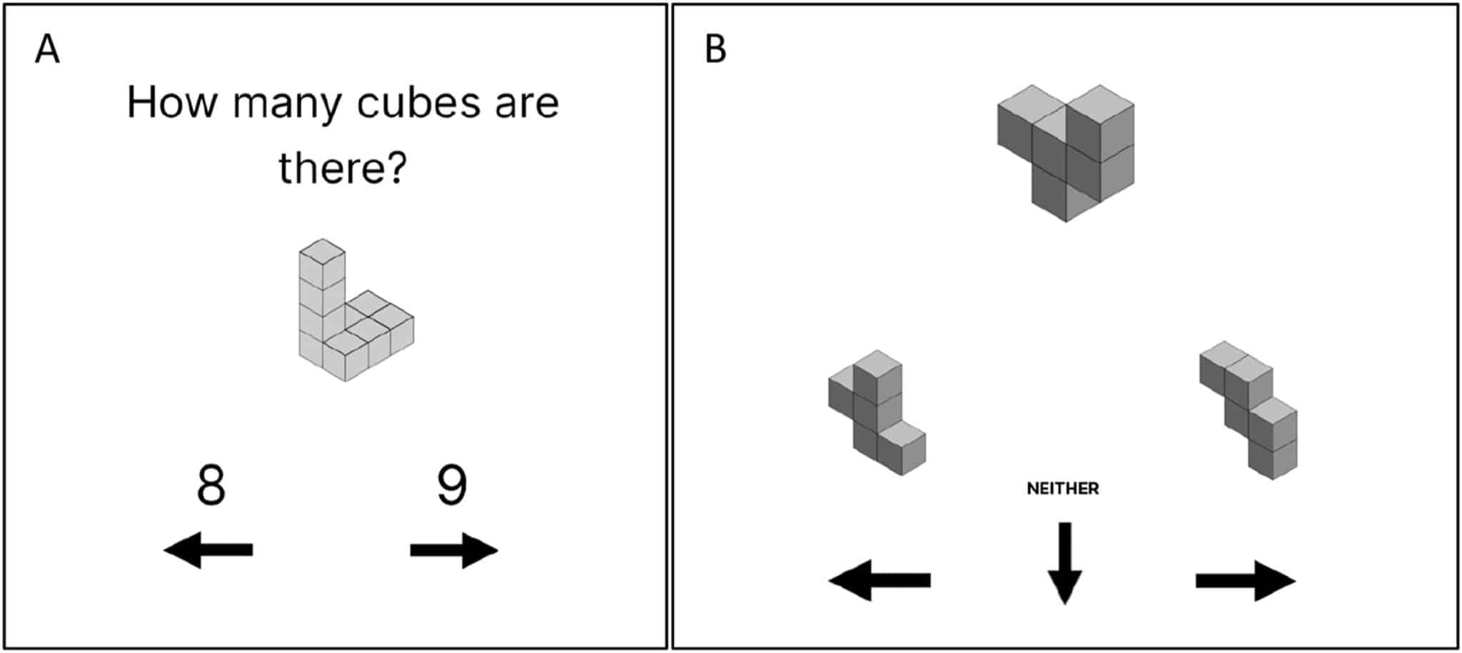 Примеры тестов на пространственное восприятие. В задании А участникам было дано задание сосчитать кубики, образующие объект. В задании B участникам было дано задание определить, какой из двух предложенных ответов в нижней части экрана, если таковые имеются, представляет собой идентичный, но повернутый объект по сравнению с тем, который показан вверху. В обоих заданиях участники должны были дать ответ, используя клавиши со стрелками на клавиатуре компьютера, как можно быстрее, не допуская ошибок / Neuropsychologia, Ronca F. et al.
