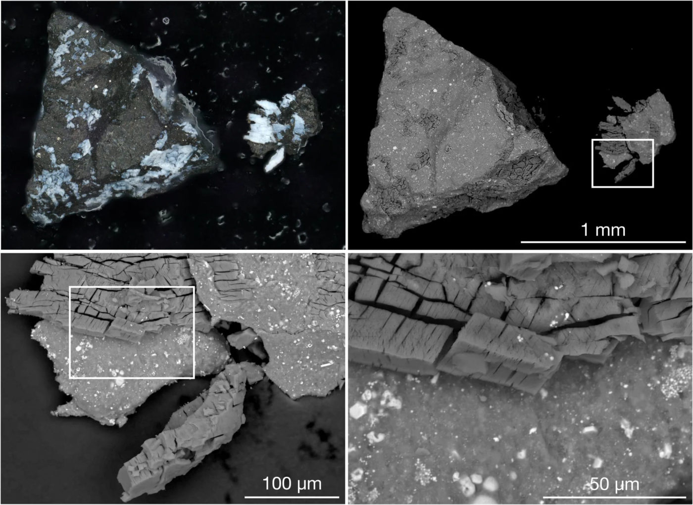 Образцы с астероида Бенну, собранные OSIRIS-REx, также содержат фосфаты