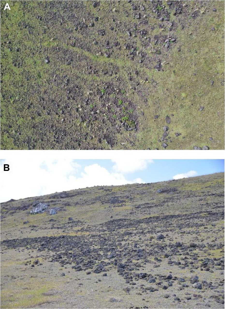 Поля, засыпанные раздробленными камнями / © Carl P. Lipo et al., Science Advances