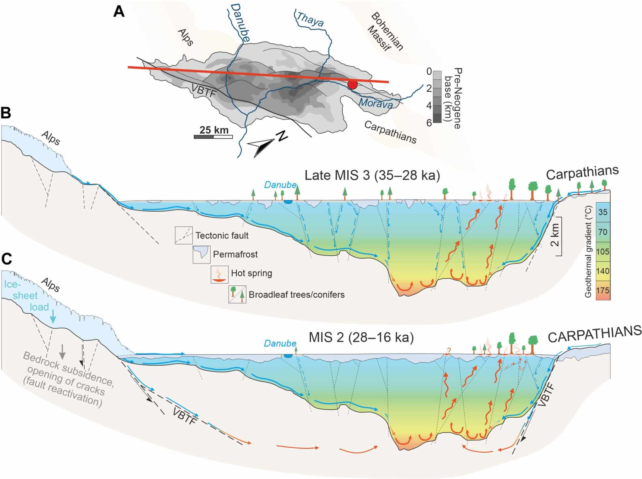 Геологические и гидроклиматические условия рефугиума последнего ледникового максимума. (A) Батиметрия непроницаемого донеогенового основания с основным тектоническим разломом, и местоположение Моравского рефугиума (красный круг). (B и C) Продольные поперечные разрезы вдоль красной линии в (A) с указанием геотермических градиентов, разломов, предполагаемой толщины вечной мерзлоты и альпийского ледника, а также соответствующих палеоботанических записей. Усиленный приток поверхностных и подземных вод во время относительно влажного среднего пленигляциала (B) просачивался вдоль основных разломных структур и подпитывал геотермальные системы глубоководной циркуляции на глубине более 5 км. Циклический рост и разрушение альпийского ледника, происходившие во время позднего среднего пленигляциала и особенно во время последнего максимума оледенения (C), активизировали основные тектонические структуры, вдоль которых гидротермальные флюиды выходили в виде горячих источников / © Science Advances, Jan Hošek et al.
