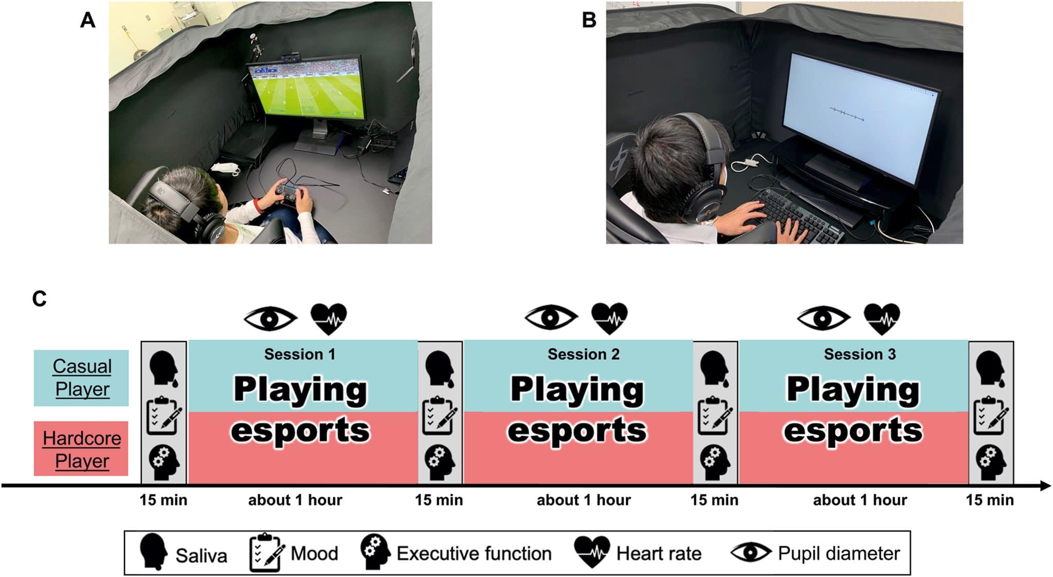 Дизайн исследования / © Computers in Human Behavior, 2024