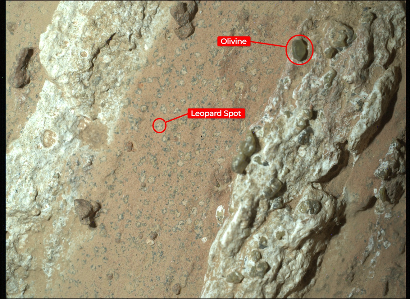 JPL обнаружила новые намеки (но не доказательства) на древнюю микробную жизнь на Марсе