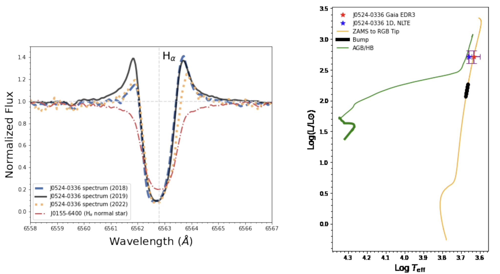 Слева: линия поглощения гелия в спектре ультралитиевой звезды J0524-0336 во время разных сессий наблюдений. Красная пунктирная линия — линия поглощения у нормальной звезды (J0155-6400). Справа: расположение новой звезды на диаграмме Герцшпрунга — Рассела. Линиями отмечены разные траектории эволюции красных гигантов. Рыжая ведет от главной последовательности к вершине ветви красных гигантов. Зеленая — от горизонтальной ветви к первой тепловой пульсации на асимптотической ветви гигантов. Черным отмечен «бугорок ветви красных гигантов» / © Kowkabany et al. The Astrophysical Journal (2024)