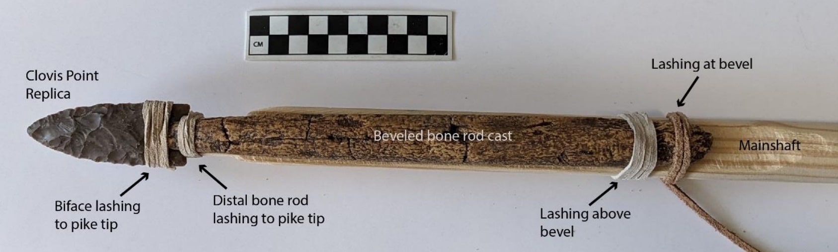 Пика, собранная учеными для эксперимента / © Byram, R. Scott et al., PLOS ONE, 2024