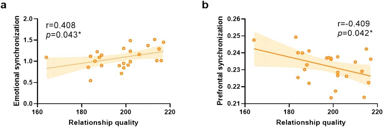 Синхронизация на уровне мозговой активности была выше у пар с более низким качеством отношений / © Yijun Chen et al., NeuroImage