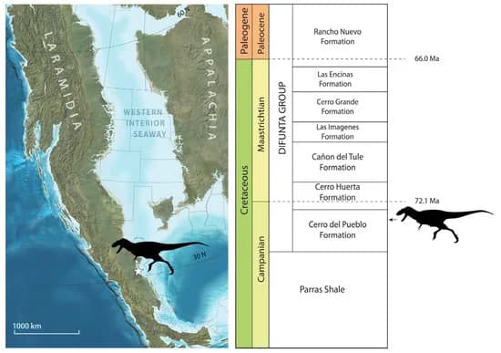 Место и время обитания Labocania aguillonae / © mdpi.com, H. E. Rivera-Sylva, R. Longrich, 2024