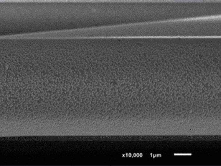Микрофотография стекловолокна, на которое с помощью напыления равномерно нанесены частицы платины. Фото: предоставлено участниками исследования / ИК СО РАН