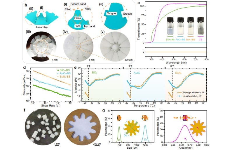 Микрочастицы, полученные с помощью шипового соединения / © Chenchen Zhou et al