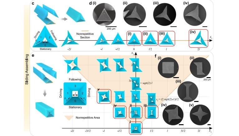 Микроструктуры, созданные методом головоломки танграм / © Chenchen Zhou et al