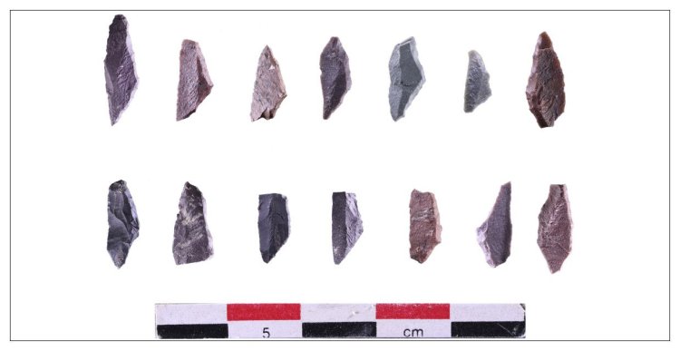 Треугольные микролиты и их фрагменты. Стоянка Узынагаш 3, 2024 г. Источник фото: ИА РАН