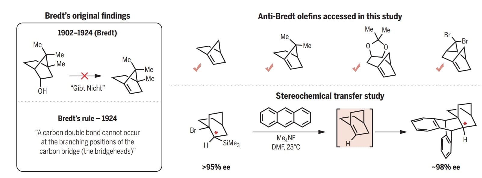 Слева — правило Бредта, справа — антибредтовские олефины, полученные в новом исследовании / © Luca McDermott et al., Science, 2024