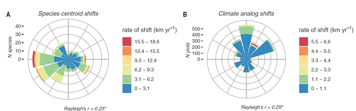 Скорость и направление сдвига ареала 266 лесных растений показаны на центроиде (рисунок A). Справа (B) — аналогичный климатический сдвиг / © Pieter Sanczuk et al., Science, 2024