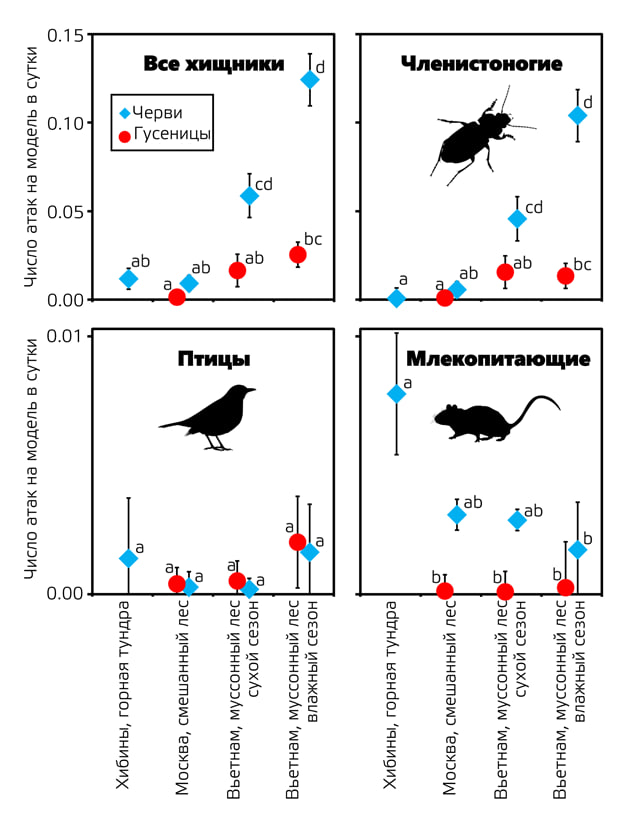 Частота нападений на муляж в сутки (средние значения и 95-процентные доверительные интервалы) для всех хищников в совокупности, а также отдельно для членистоногих, птиц и млекопитающих. Места экспериментов: горная тундра, смешанный лес, тропический лес Вьетнама (сухой и влажный сезон) / © sev-in.ru, D. D. Vinogradov et al., 2024