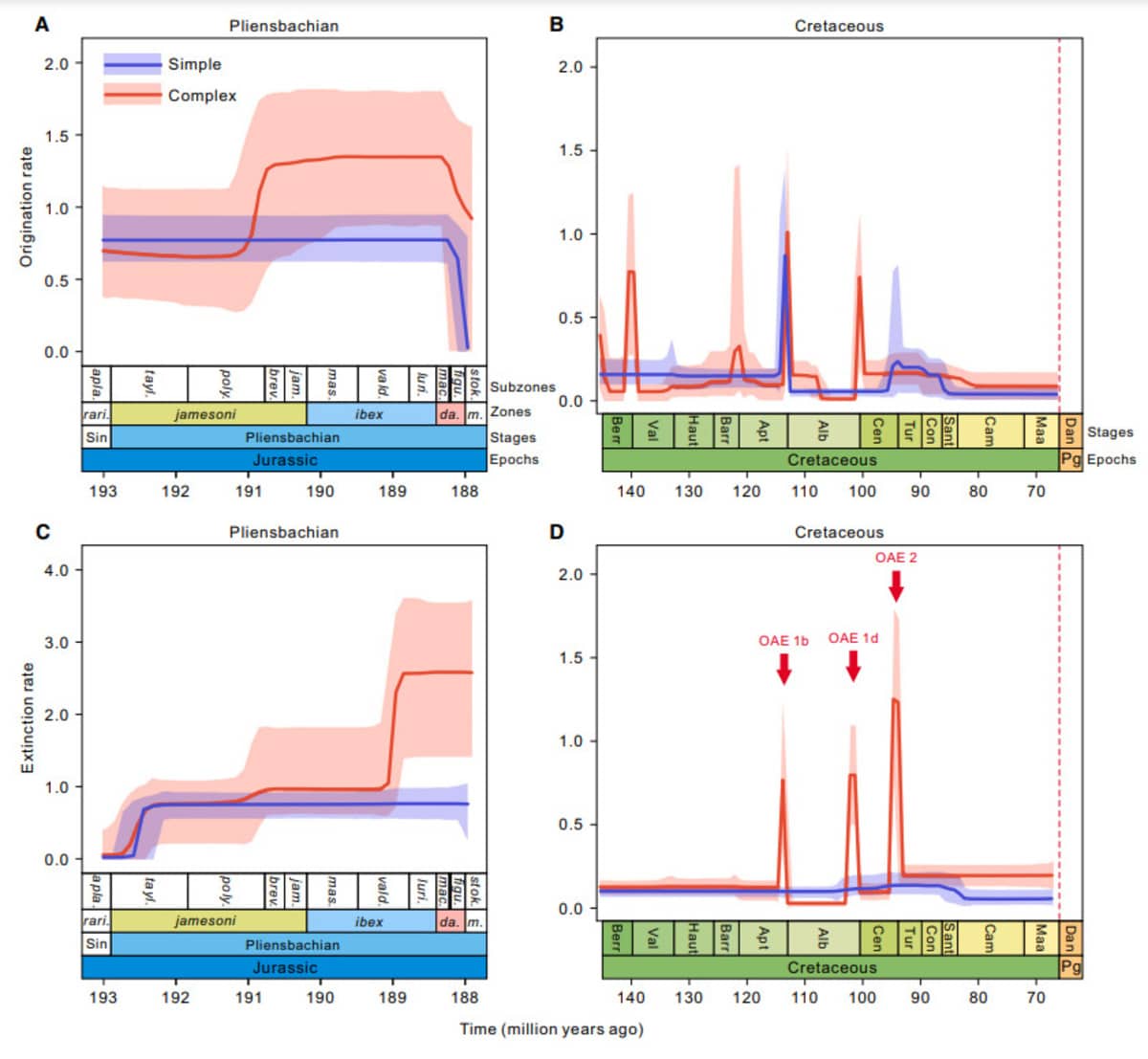 Вариации темпов возникновения и вымирания для видов плинсбахского яруса и меловых родов. Разделение на сложные и простые морфологические типы основано на медианных значениях индекса двухмерной орнаментации для наборов данных раннеюрских (0,09) и меловых (0,10) аммонитов. Абсолютный возраст раннеюрских зон указан по шкале геологического времени. Сокращение OAE — аноксические (бескислородные) события в океане / © Current Biology, Luyi Miao et al.